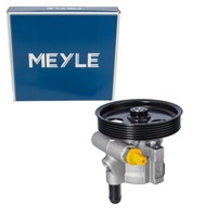 Meyle Hydraulikpumpe Lenkung FüR Renault Megane 1 Clio 2 Kangoo Scenic 1 1.4-1.6