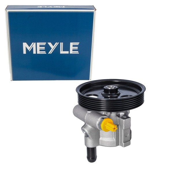 Meyle Hydraulikpumpe Lenkung FüR Renault Megane 1 Clio 2 Kangoo Scenic 1 1.4-1.6-image