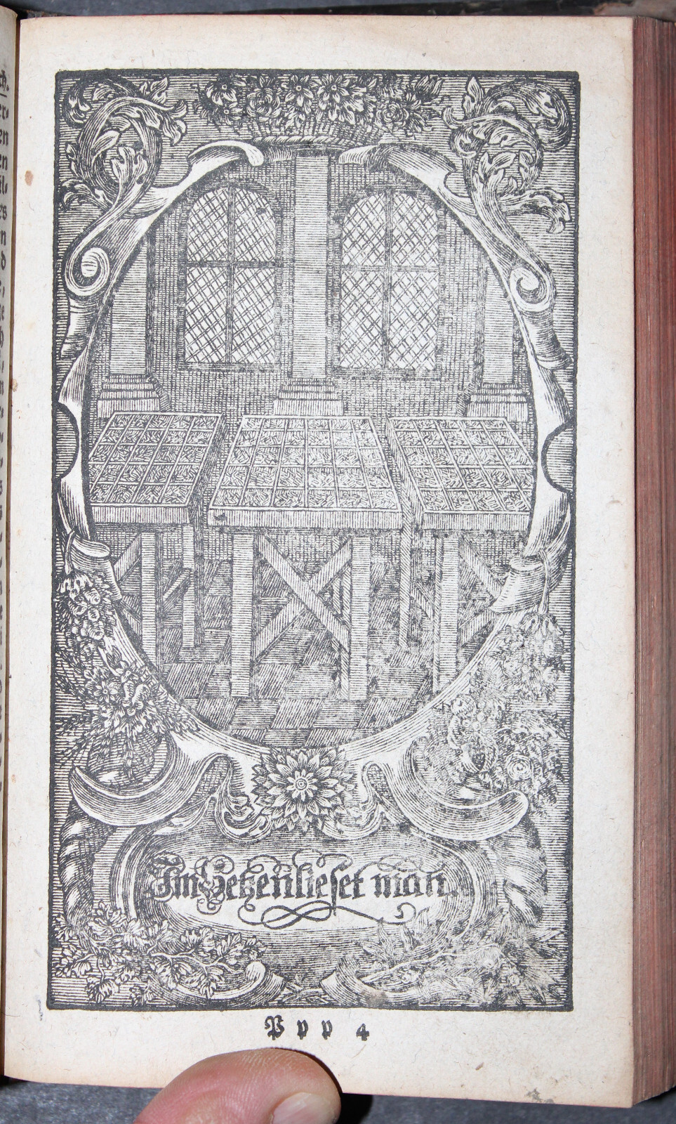 Picture 8 of 9