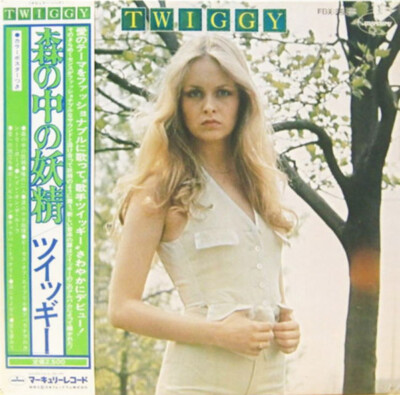 Twiggy (2) - Twiggy / NM / LP, Album | eBay