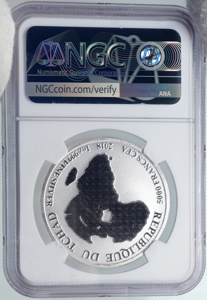 2018 CHAD African ARTISTIC LION Map Antique Silver 5000 Francs Coin NGC i89266 - Image 4 of 4