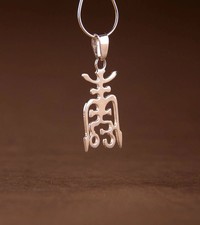 Chinesisches Langlebigkeit Zeichen Amulett Silber 925 Anhänger Feng Shui Schmuck