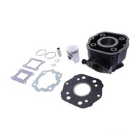 Zylindersatz Standard Grauguss FüR Derbi Senda 50 R DRD Pro Bj. 2007-2014