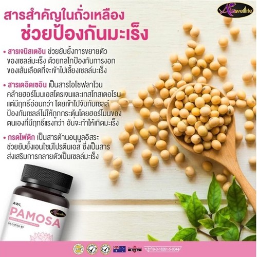 6 x 30caps Auswellife Pamosa Multivitamins Supplement Menopause For Women Health - Picture 8 of 11