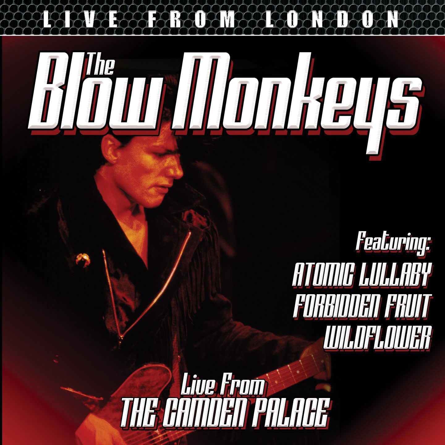 The Blow Monkeys - Live from London (DVD) The Blow Monkeys Micky Finn