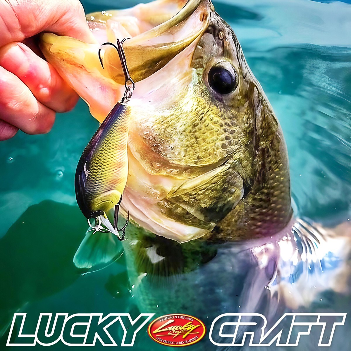 LUCKY CRAFT LC 1.5 - 777 CF Zebra Ghost Green Sea Trout (1qty