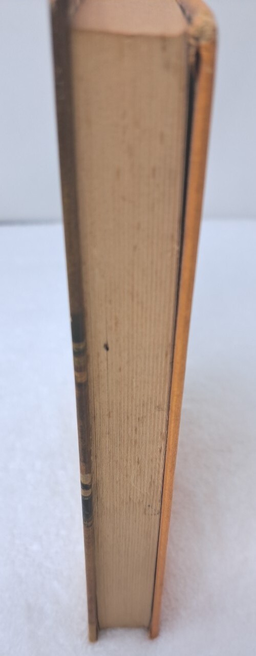 Picture 5 of 18