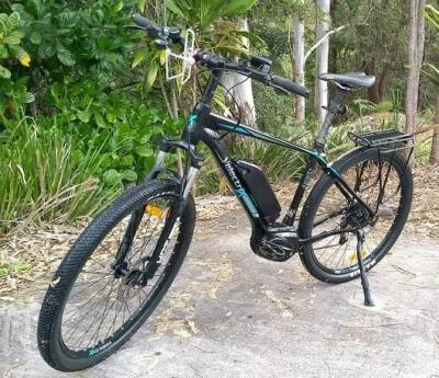 velectrix ascent 29 mtb