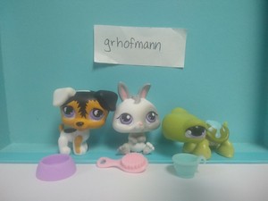 Littlest Pet Shop LPS Lot: Terrier Dog #803, Bunny Rabbit #215, Turtle