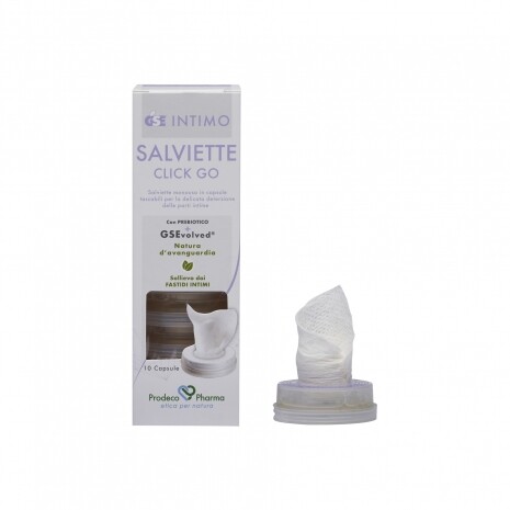 GSE INTIMO 10 SALVIETTE CLICK GO