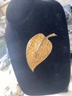 Picture 5 of 5