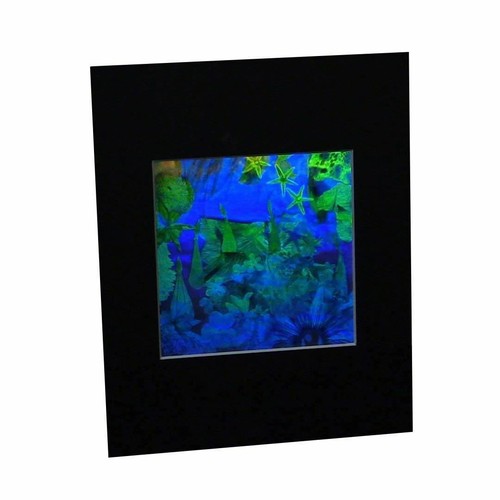 3D Unterwasser Hologramm Bild MATTIERT, Sammlerstück GEPRÄGT Typ Film - Bild 2 von 7