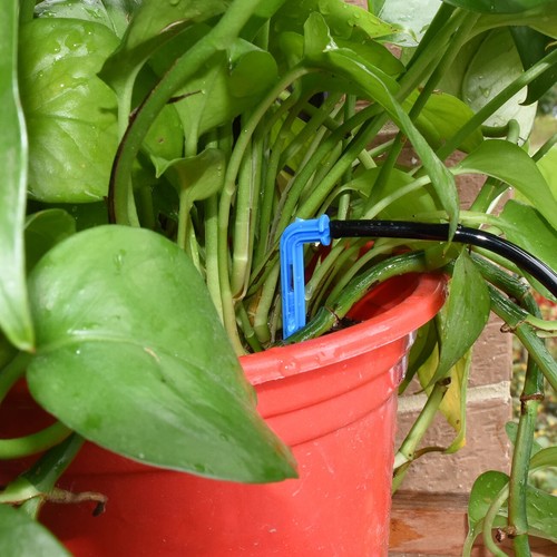 Greenhouse Drip Irrigation Drip Arrow Transmitter Watering System Potted Plant - Picture 5 of 42