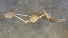 <!--F#f_0-->HOLDEN PETROL GUAGE FUEL TANK GUAGE HQ STATION WAGON<!--F/-->