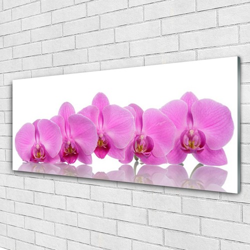 Impression sur verre Image tableaux 125x50 Nature Fleurs Prairie