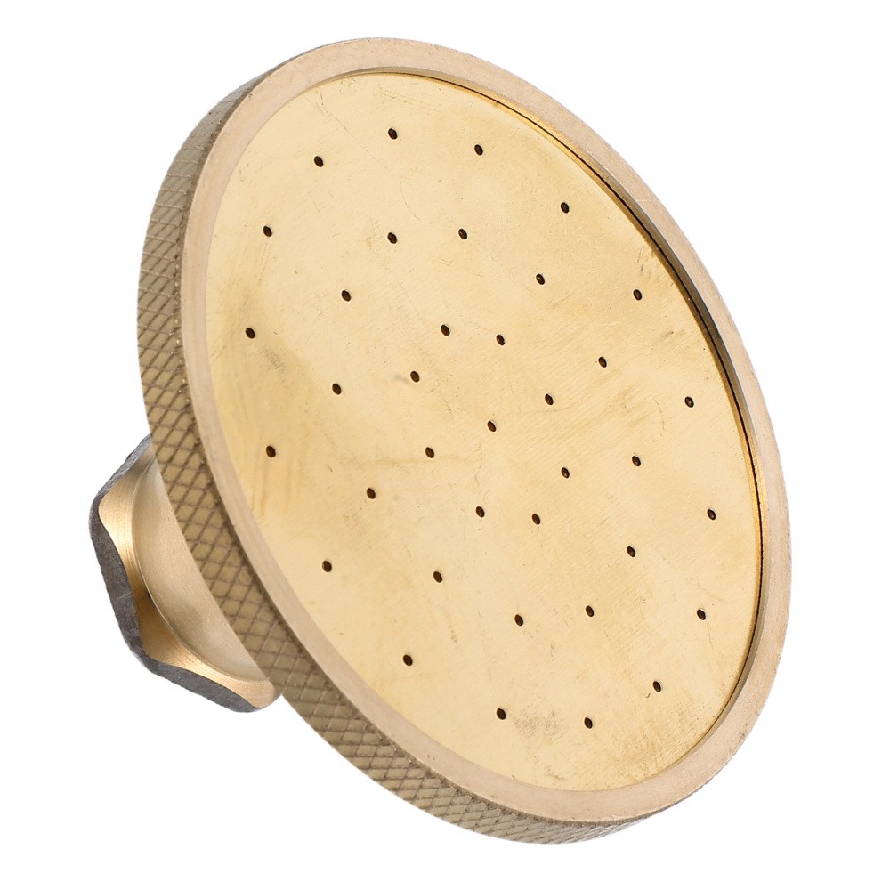 Vintage Brass European Showerhead with Retro Bath Spray