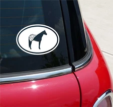 Euro Appaloosa Horse Graphic Decal Sticker Car Wall Oval NOT Two Colors