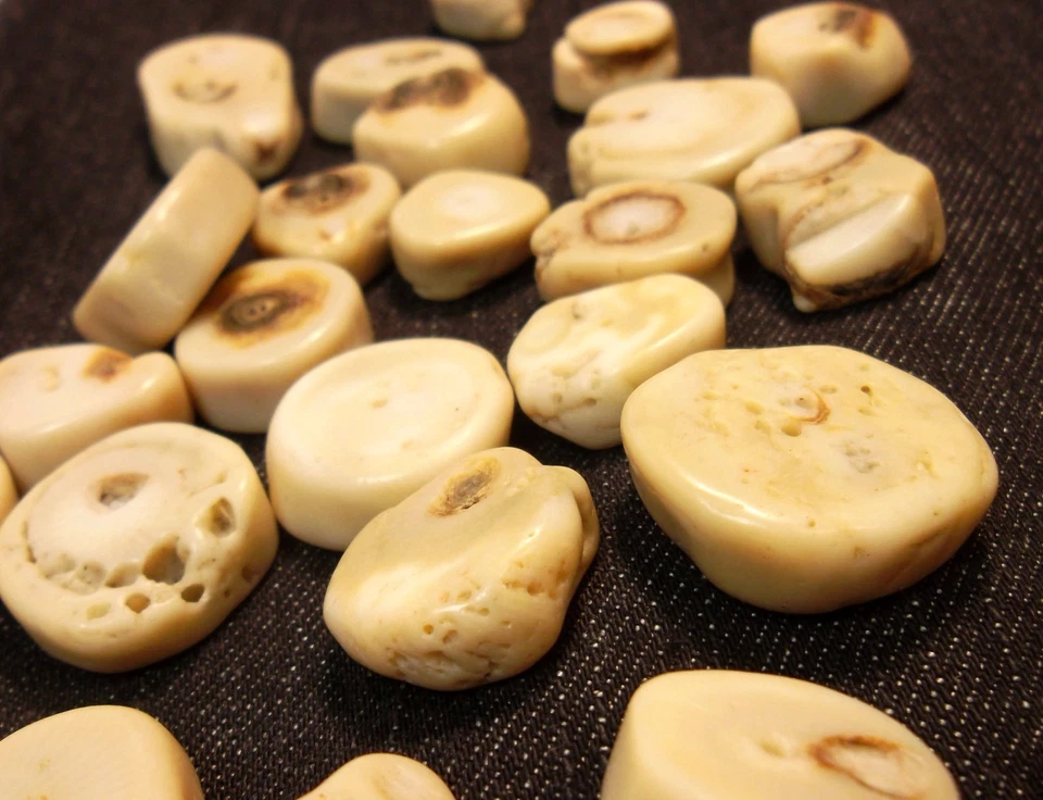 Koralle Perlen Weiß Schmuckperlen Natur Edelstein Naturstein Münze DIY G619#2 - Bild 3 von 4