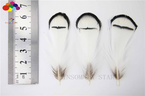 10-100 PCS White Pheasant Tail Feathers 2-4inch/4-10cm Carnival Diy costume mask - Bild 5 von 6