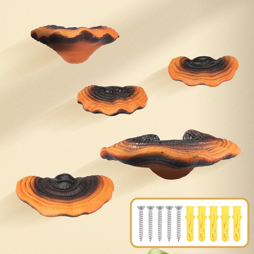 5 Pcs Mushroom Shelves Resin Mushroom Floating Shelves Reishi Shaped - Picture 8 of 11