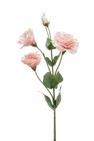 Artplants Kunstblume Lisianthus Jeno, Rosa 70Cm