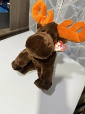 Ty Beanie Buddy CHOCOLATE The Moose Vintage Ty Stuffed Plush Toy MINT w/TAGS