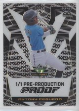 2023 Leaf Eclectic Valiant 1/1 Antony Peguero #V-AP1 4z8