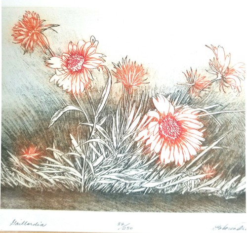 Dolores Trenner Etching 18" x 15" Flower Print Signed Flower Art Double Matted - Picture 4 of 5