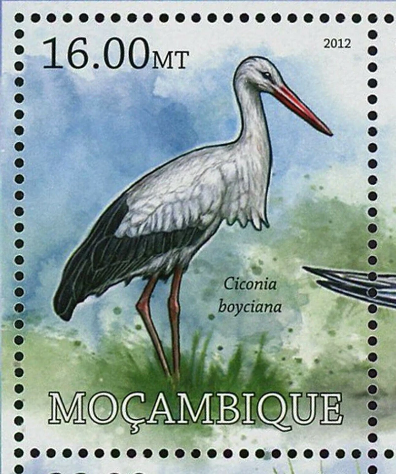 Sello de aves de África máscaras Coua Delalandei Aphanapteryx Bonasia S/S #5845 Foto 4 de 4