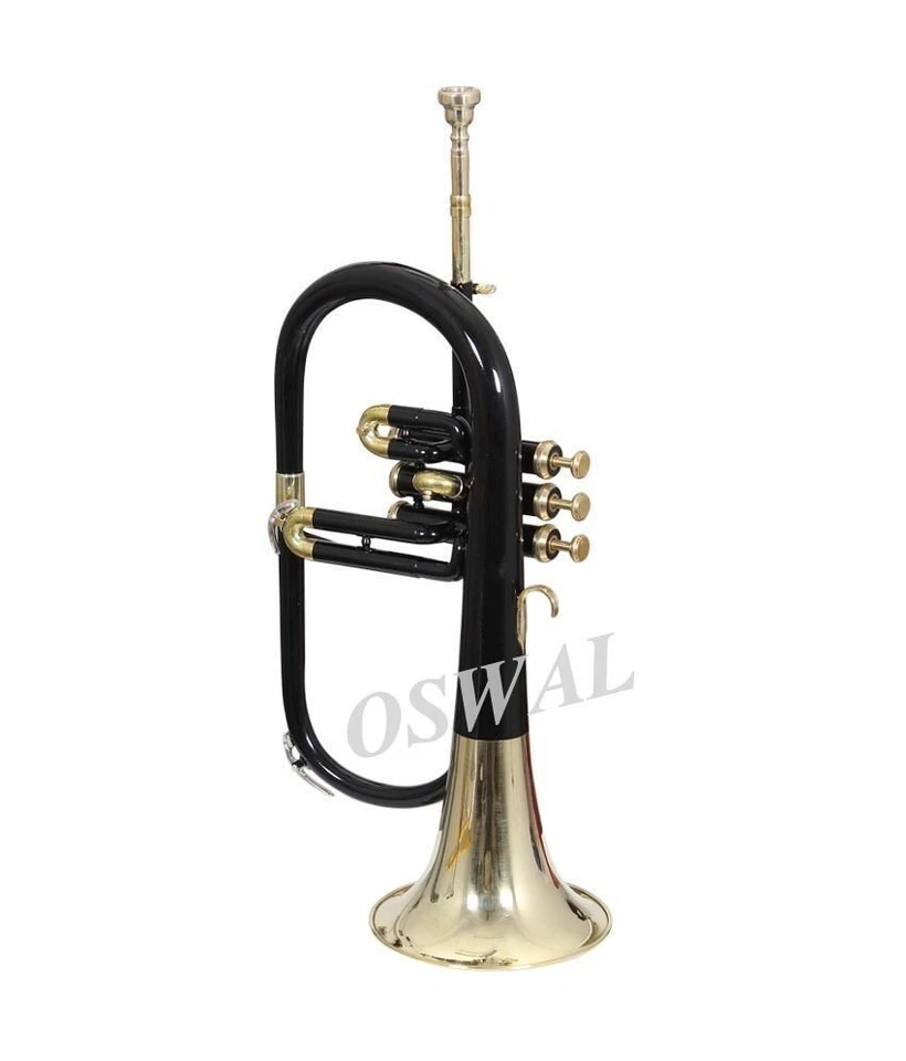 Cuerno Flugel NEGRO acabado latón paso BB con estuche rígido y boquilla + ENVÍO RÁPIDO Foto 3 de 4