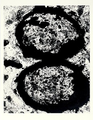 Richard Serra -   T.E. Vectors, 2001  Art Print Card - Gemini Gallery NYC