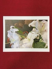 9# Set of 5 Blank 5”x7” Floral Photograph Note Cards