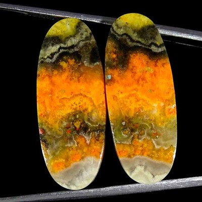 24.00Cts Natural Bumble Bee Jasper Oval Cabochon loose Gemstone 11x28x4mm