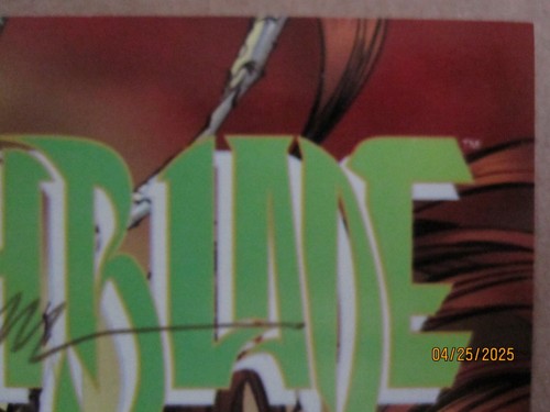 1996 IMAGE TOP COW COMICS WITCHBLADE #2 MICHAEL TURNER & CHRISTINA Z SIGNED CVR - Bild 6 von 10
