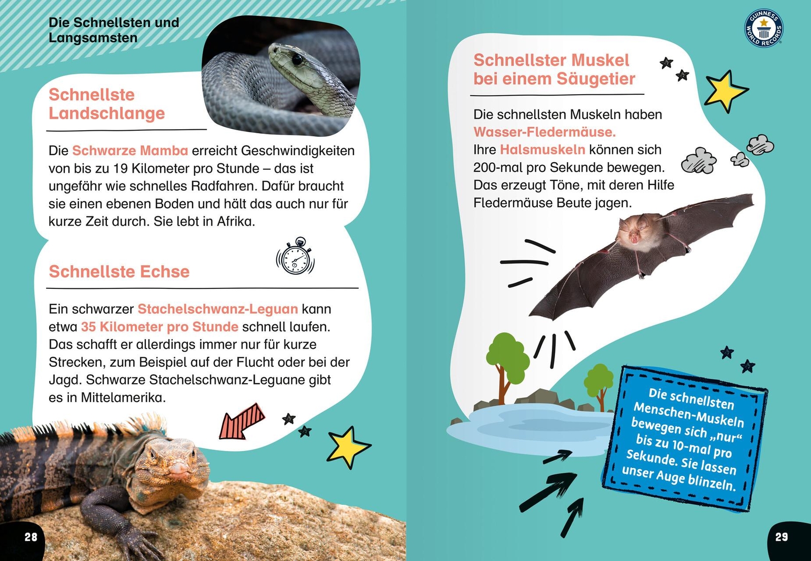 Thumbnail - Guinness World Records Für Erstleser - Tiere (rekordebuch Zum