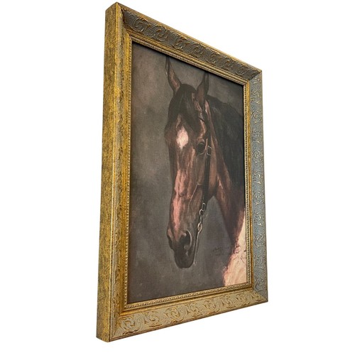 Framed Timeless Horse Canvas Reprint W/ Ornate Gold & Blue Frame Equestrian Art - Picture 6 of 9