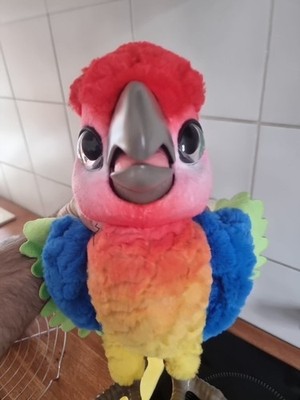 Fur Real Friends  tanzender Papagei Pauli Vogel interaktiv FurReal Funktioniert