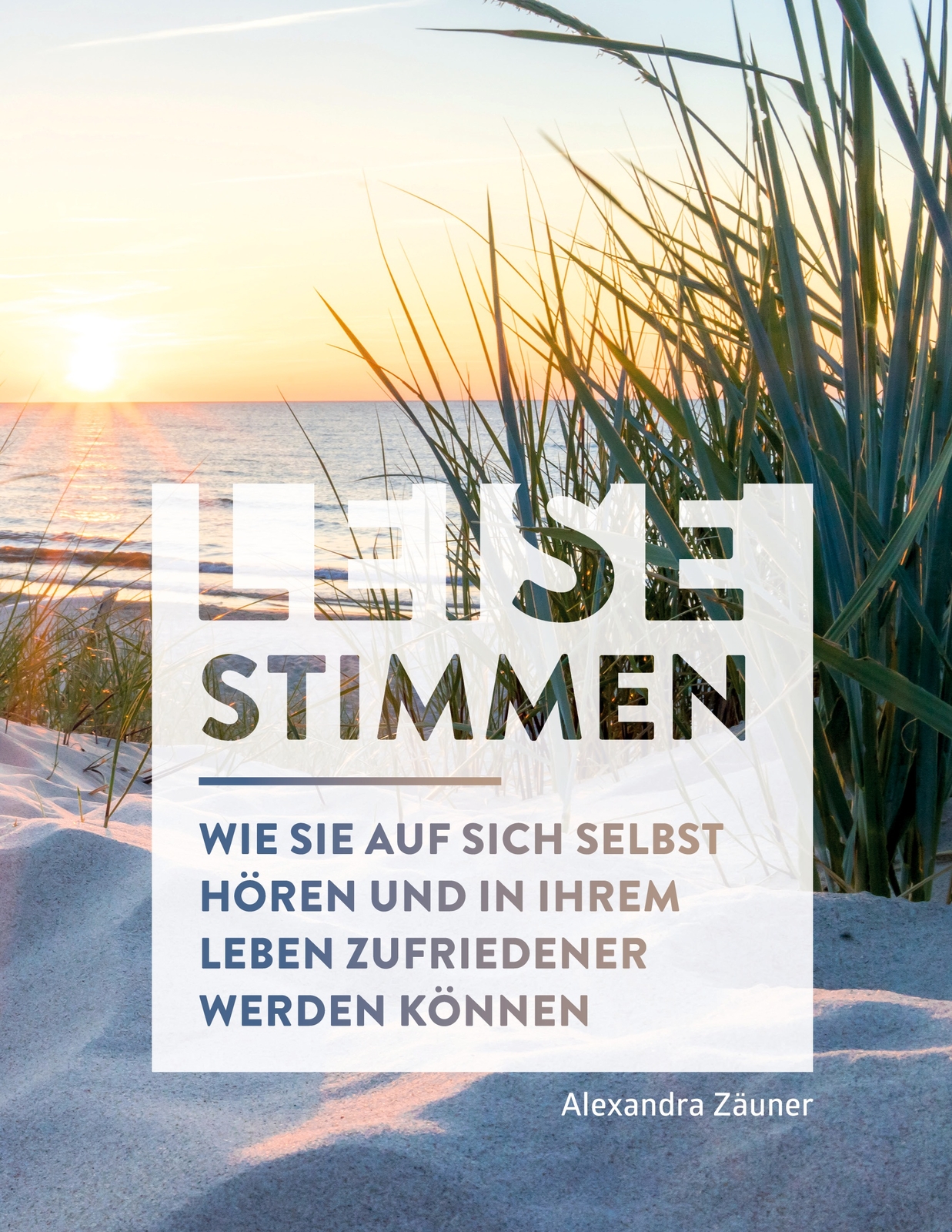 Thumbnail - Leise Stimmen (buch)