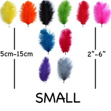 Small Ostrich Feathers - 5cm -