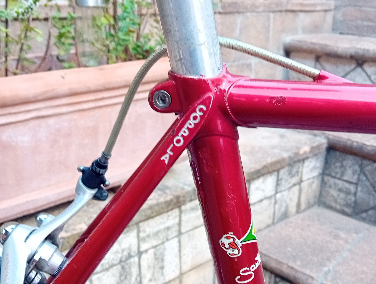 Coppola Bici Da Corsa In Acciaio Campagnolo L'Eroica Copertoncino foto 6
