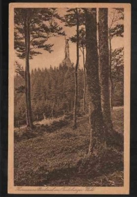AK 0731 Hermanns Denkmal im Teutoburger Wald