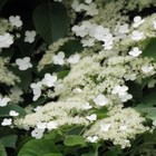 Foto 1 di 10