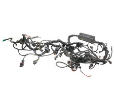 2008 Lincoln Navigator Engine Bay Wire Harness 5.4l V8 Oem