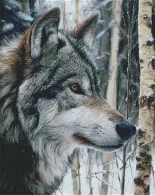 #ad Wolf in Birches Counted Cross Stitch Kits Needlework Embroidery DIY $41.69