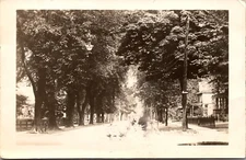 Real Photo Postcard Residential Street in Moline, Illinois