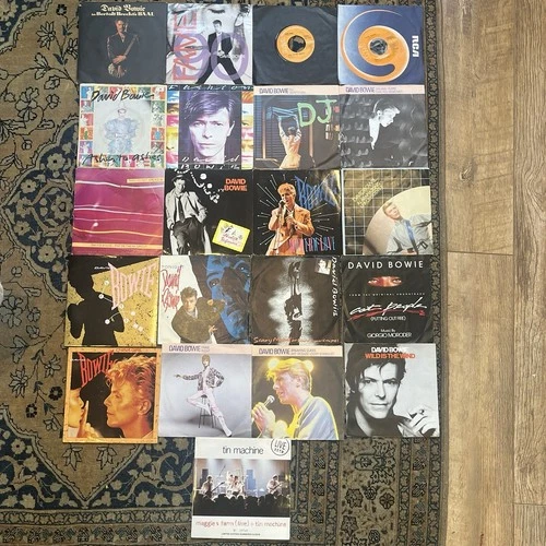David Bowie Singles Collection Vinyl Records 21 Records Job Lot