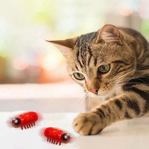 Juguetes interactivos para gatos - Mini lindo Ladybug, móvil, juguete electrónico para gatos de interior - Imagen 20 de 27