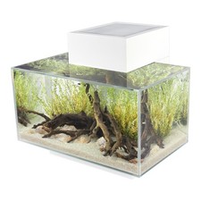 Fluval Edge 23 L Bianco – Acquario Completo con LED e Filtro Aquaclear