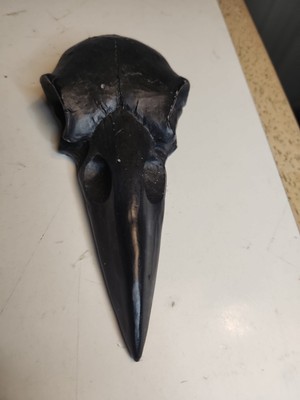 Rabenschädel Handspiegel, Silber Sargspiegel, Gothic Dekor, Kurioses
