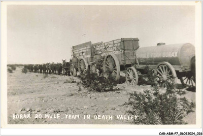 CAR-ABMP7-0590-USA - BORAX 20 MULE TEAM IN DEATH VALLEY - Photo Card